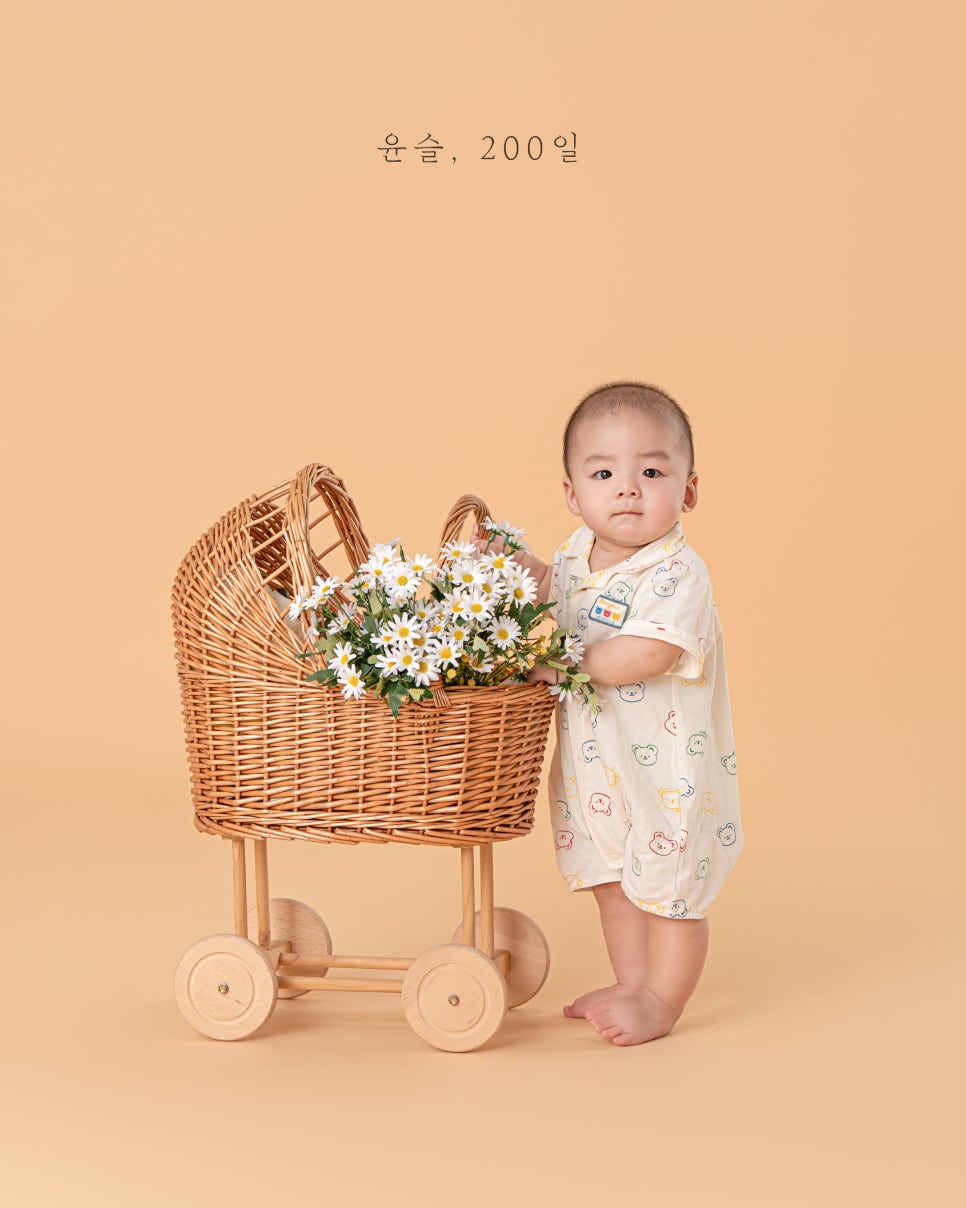 이름꽃사진관배곧점 이미지