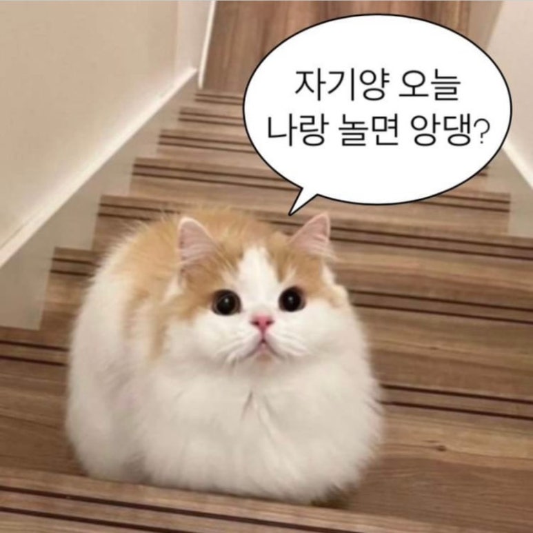나랑놀자! 이미지