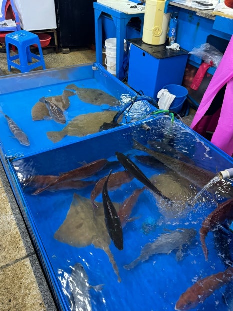 후끈후끈노래클럽 이미지