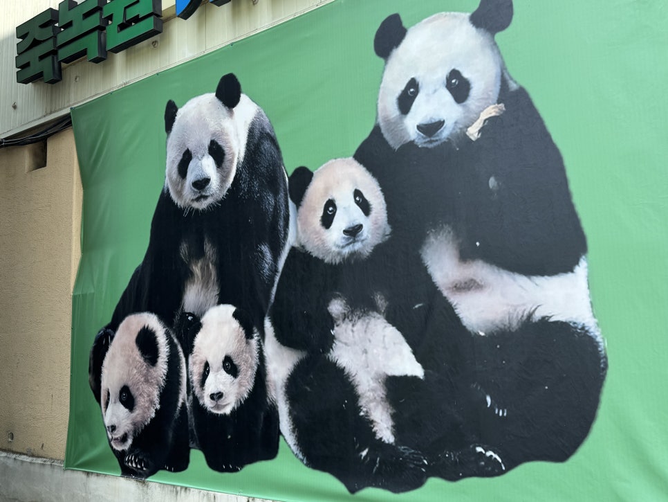 카페쿠잉롤 이미지
