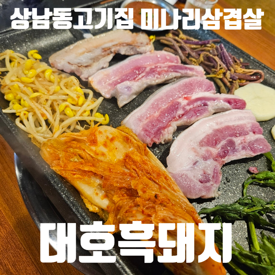 대호흑돼지 이미지