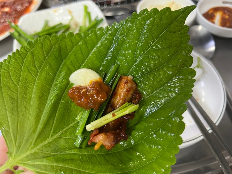 미스터꼼장어 이미지