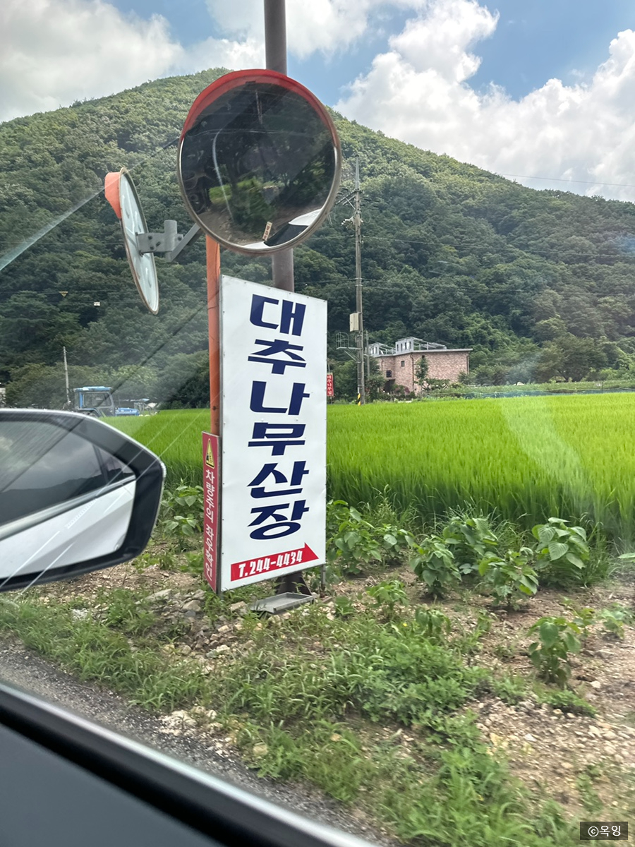 대추나무산장 이미지