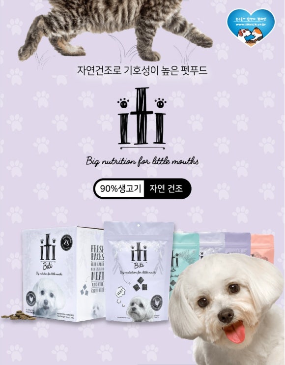 아이티아이 이미지