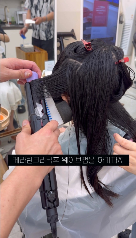 보하비 이미지