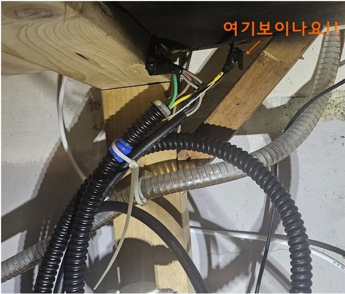 로라올던 이미지
