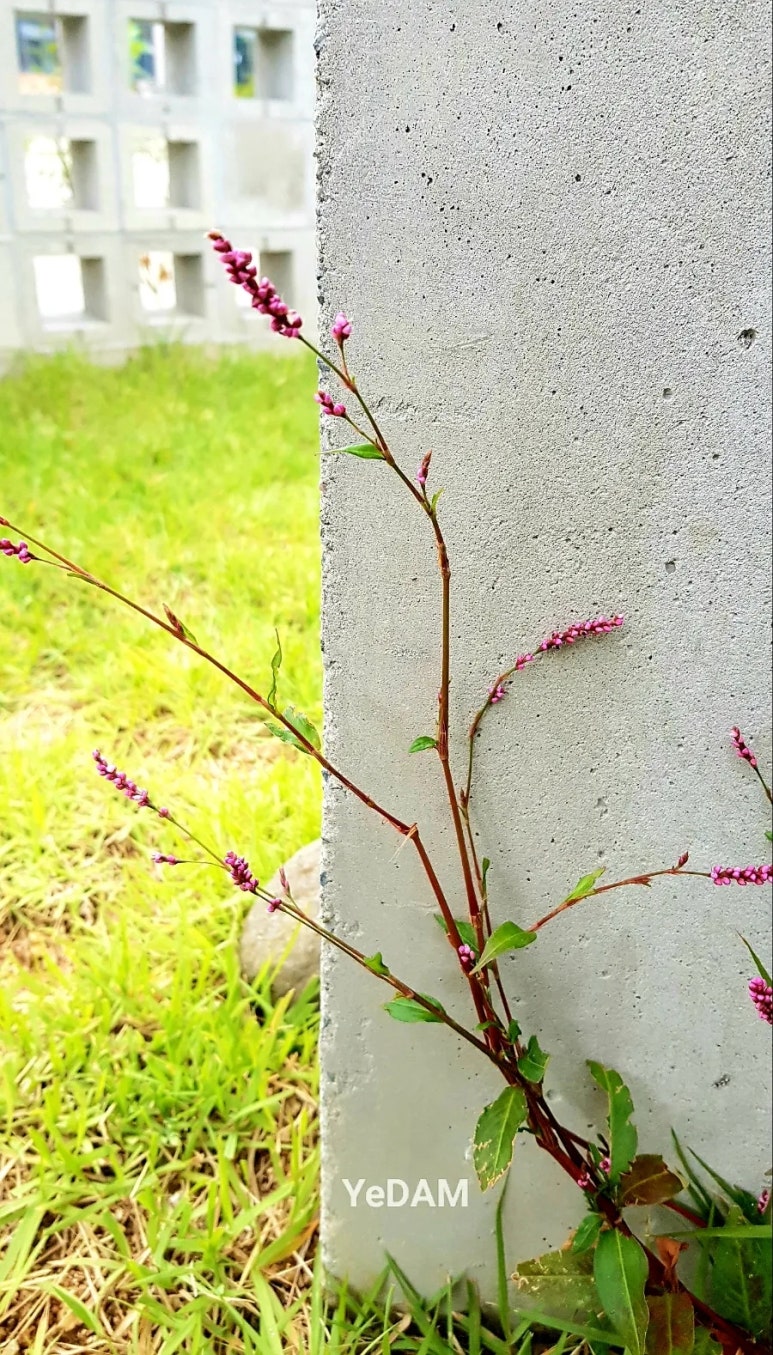 건축사사무소예담 이미지