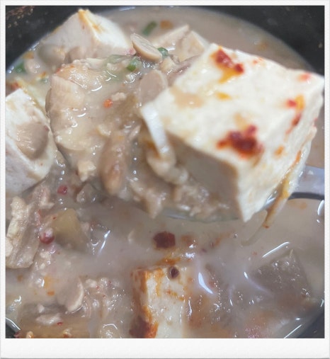 신박사 콩사랑 이미지