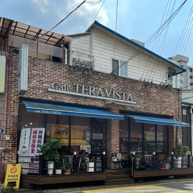 테라비스타 이미지
