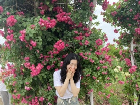 사계월 이미지