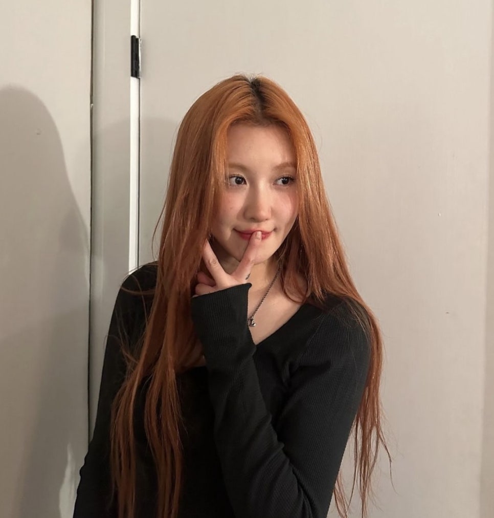 에드비 이미지