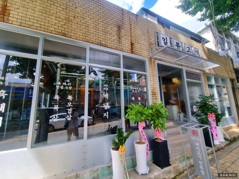 일류고기 이미지