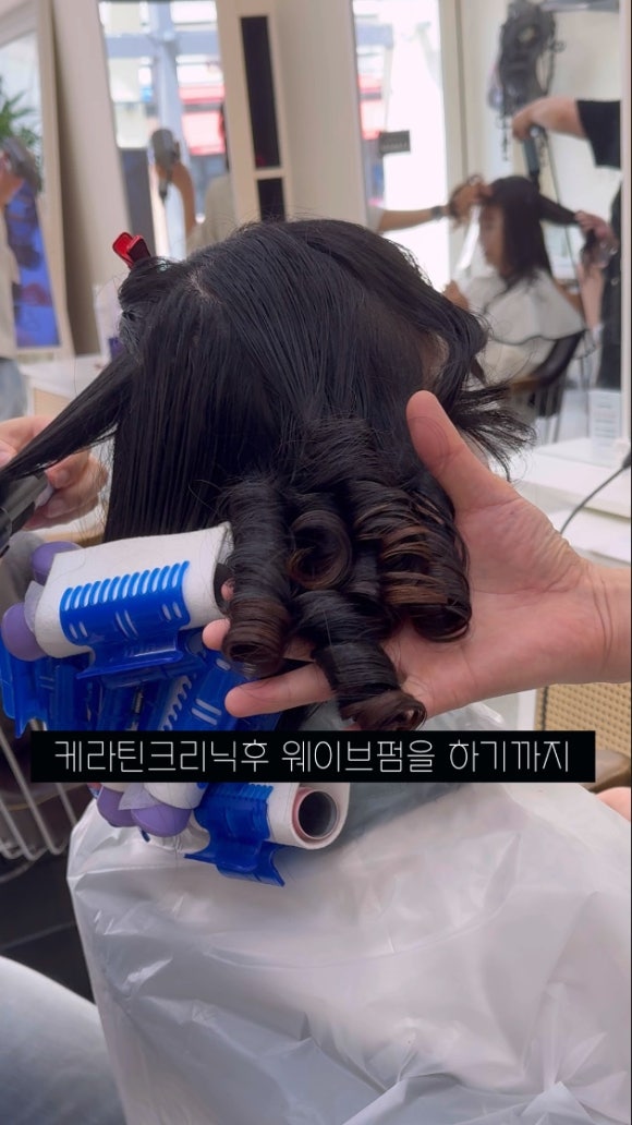 보하비 이미지