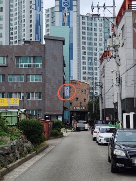 하버드앵무새카페 이미지