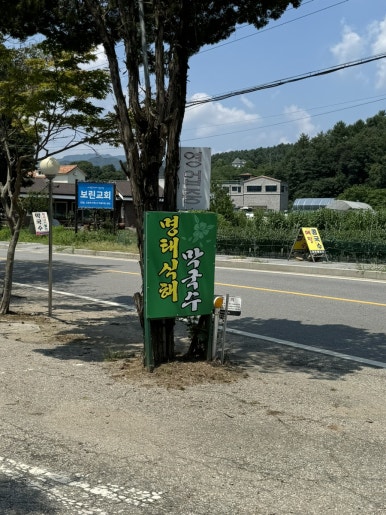 메밀터막국수 이미지