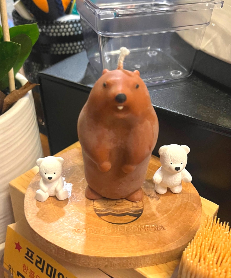 이키가이 진주평거본점 이미지