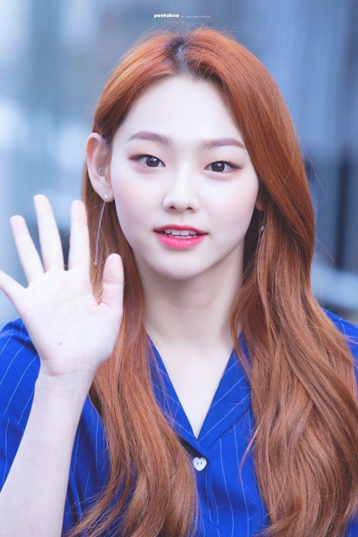 퍼블릭헤어 이미지