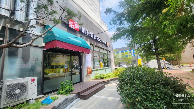 이든청둥오리 이미지