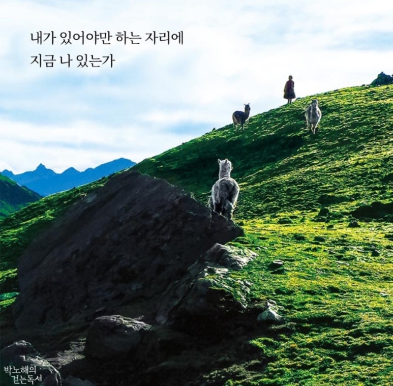 트럭떡볶이 이미지