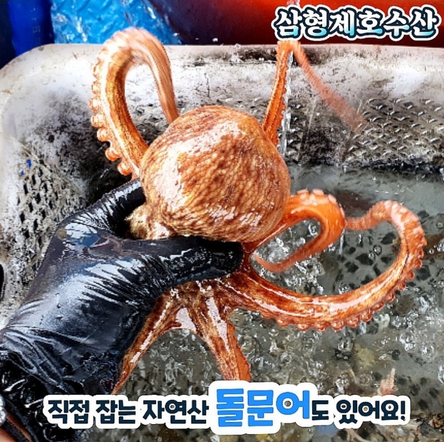 삼형수산 이미지