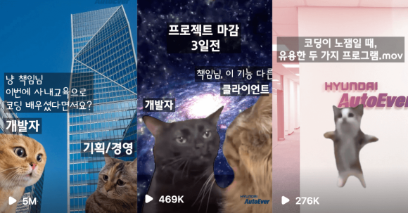브랜드밈 이미지