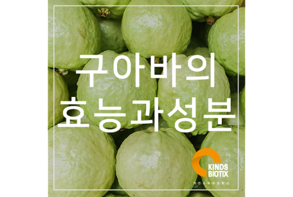 (주)카인즈바이오틱스 이미지