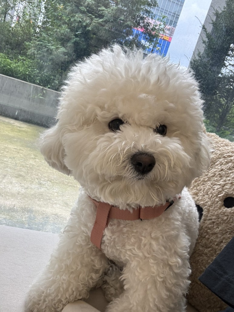라봉네일 이미지