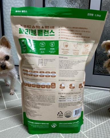 자매체형관리 이미지