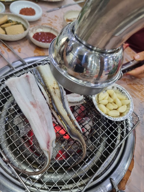 김인철동해장어막회 이미지
