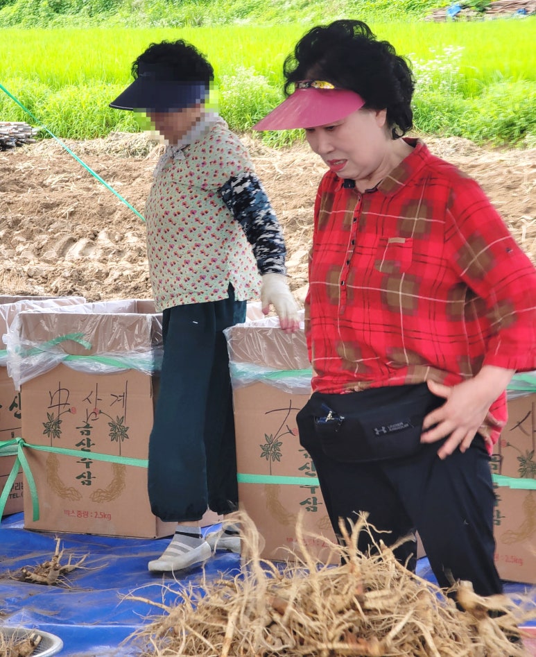 강화수삼센타 이미지