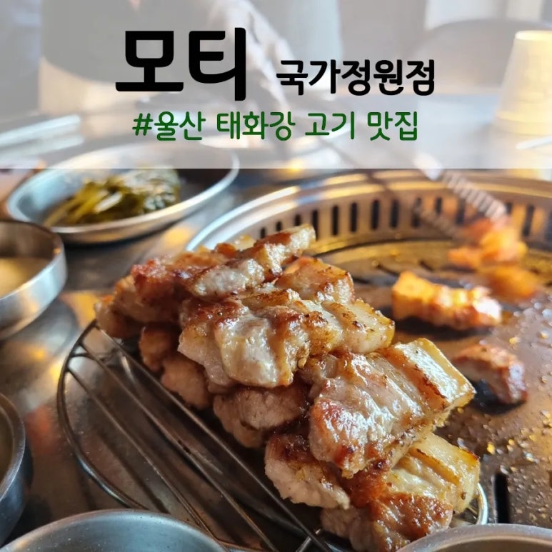 모티국가정원점 이미지