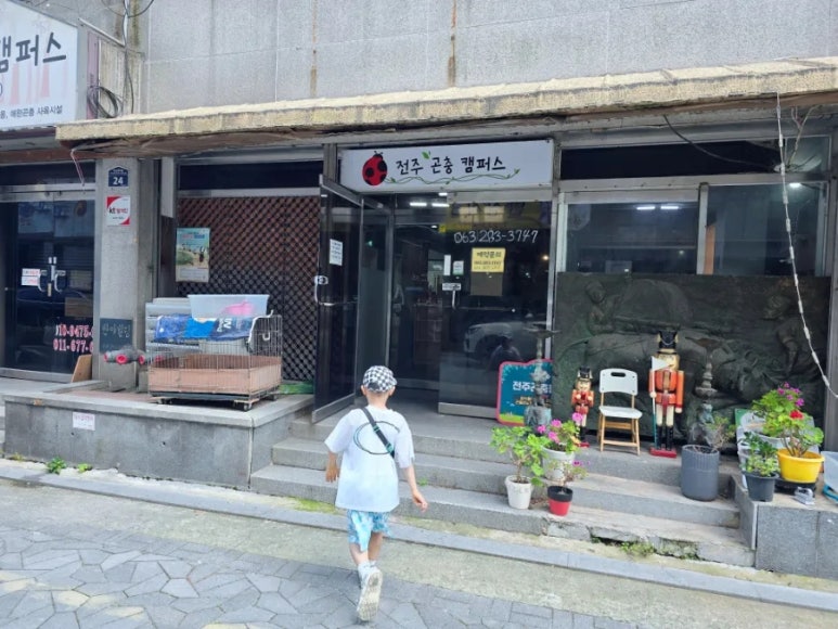 전주곤충캠퍼스 이미지