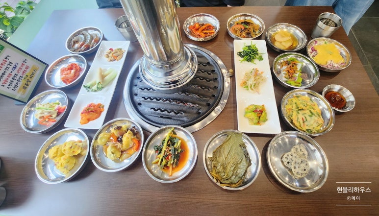 이든청둥오리 이미지