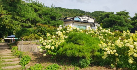 꽃누리 이미지