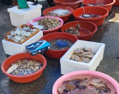 맛깔즉석반찬 이미지