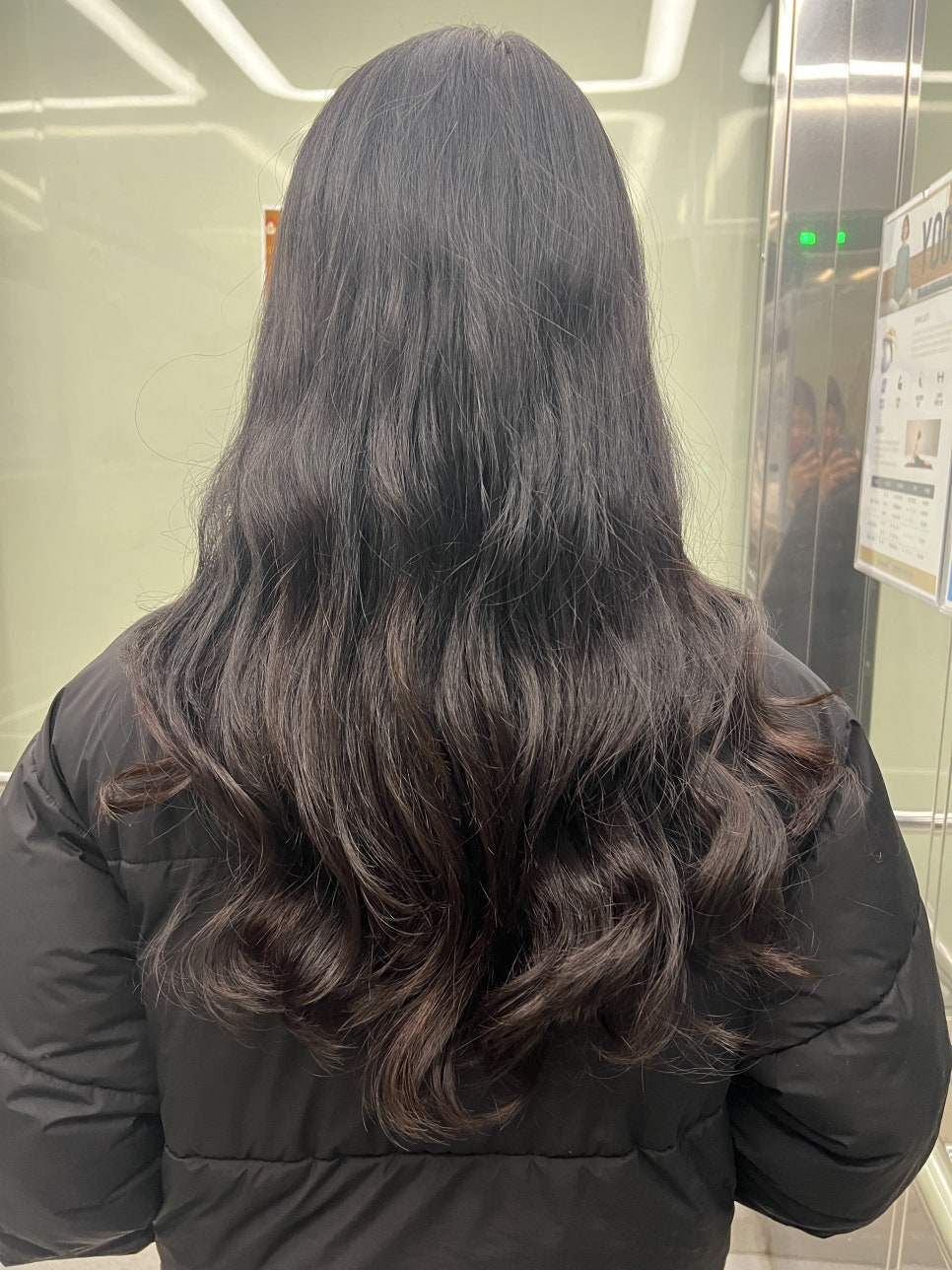 돼지꼬리미용실 이미지