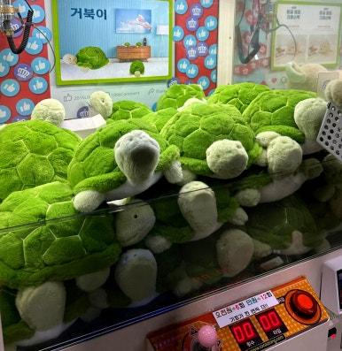 짱뽑기방 이미지