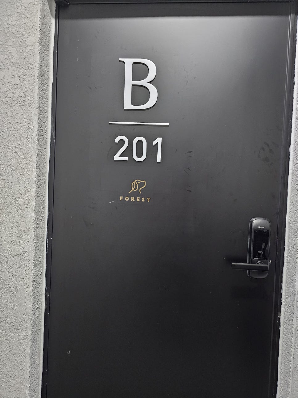 포레스트258/포레스트258펜션 이미지