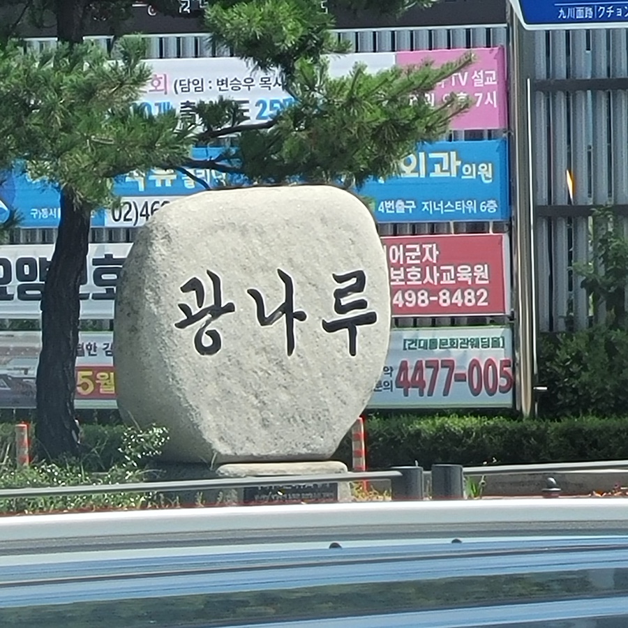 파라바라 이미지