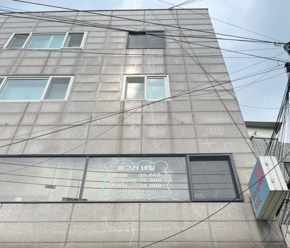 몽그리네일 이미지