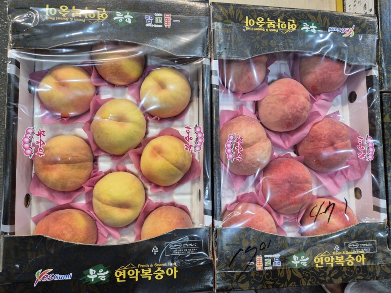 구성과일상회 이미지