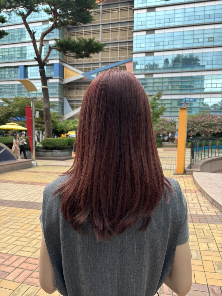 파보헤어 이미지
