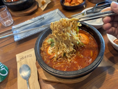 돌담넘는고양이 사진 7