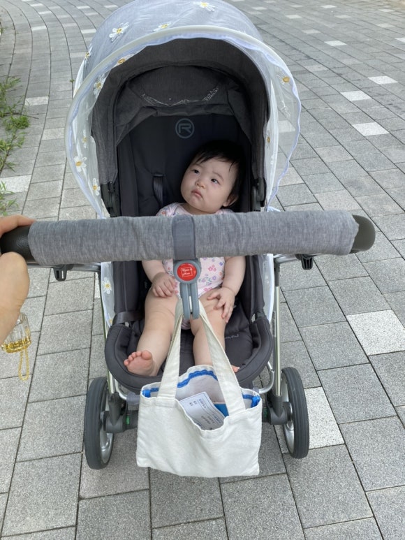 비-오이스터 이미지