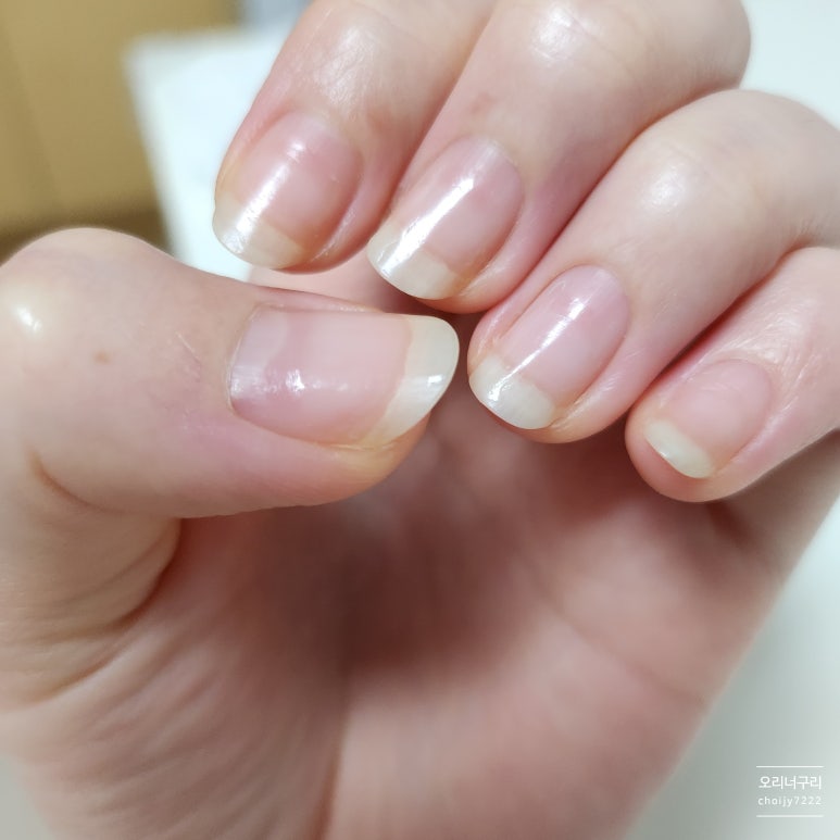 네일바미 이미지