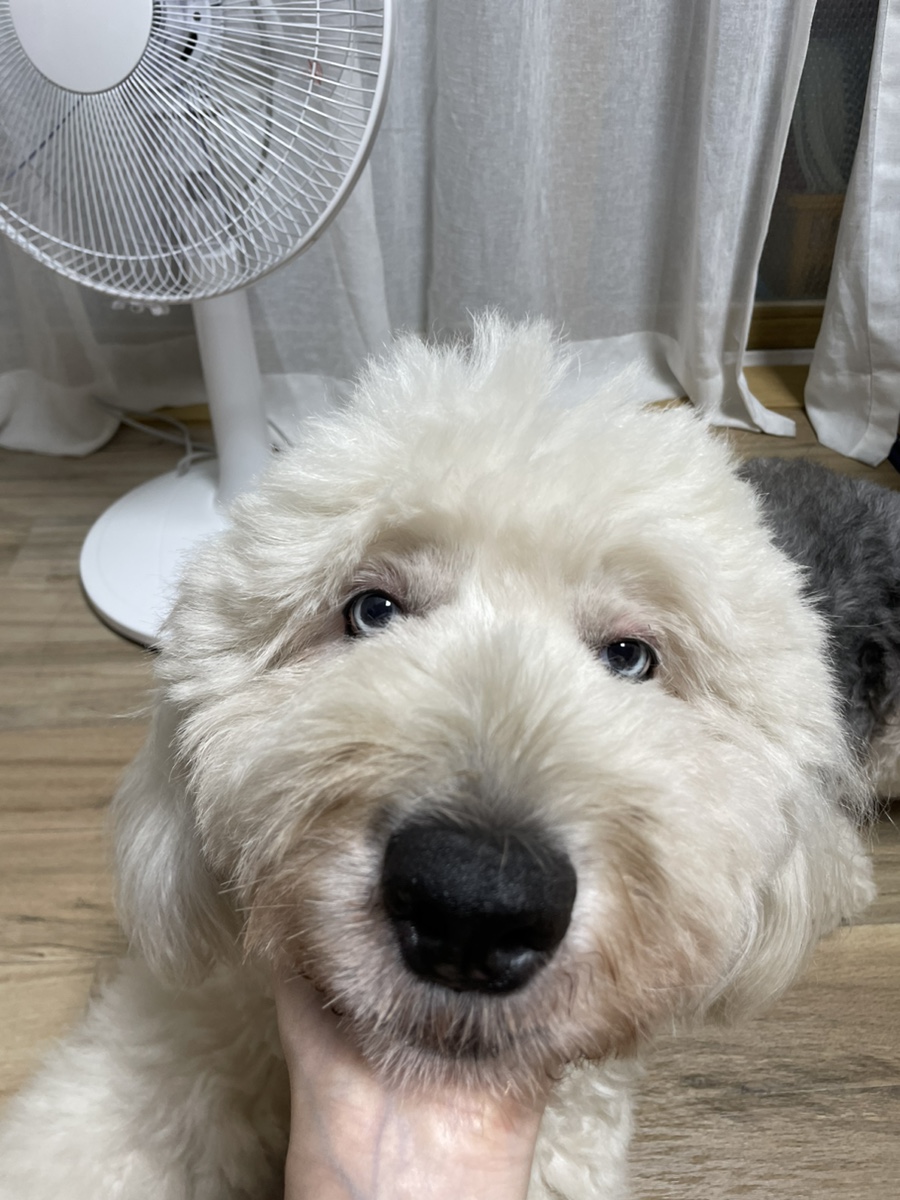 봉자씨 이미지