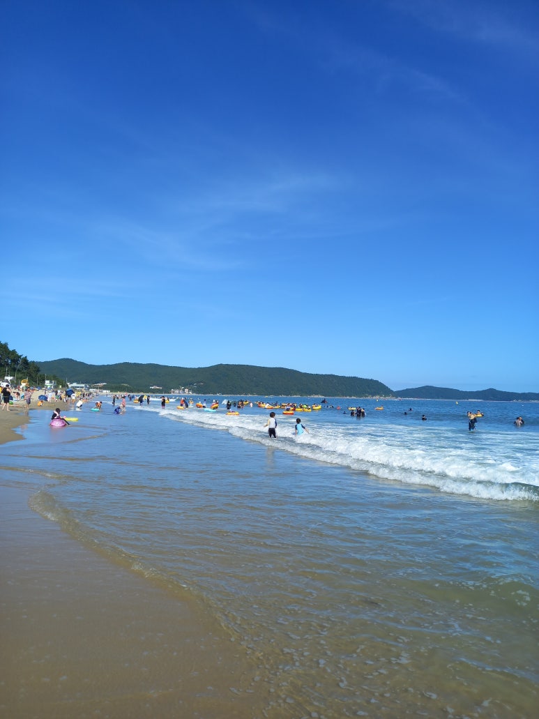 청정바다 이미지