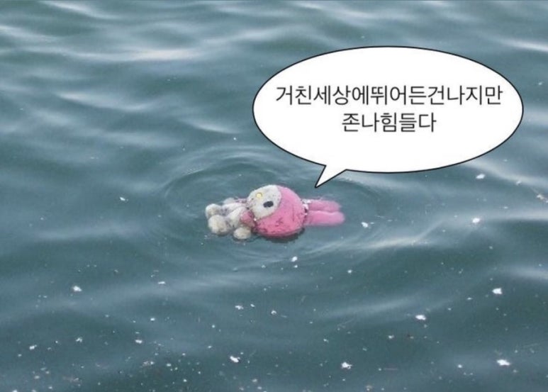엠에프 이미지