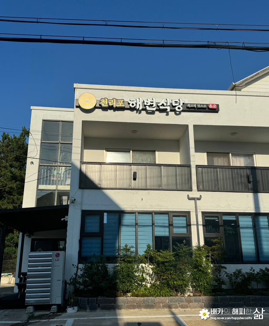 천리포 해변식당 이미지