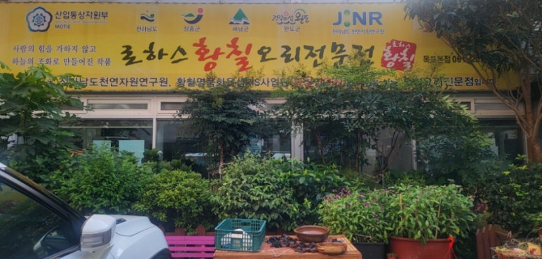 로하스황칠오리 이미지